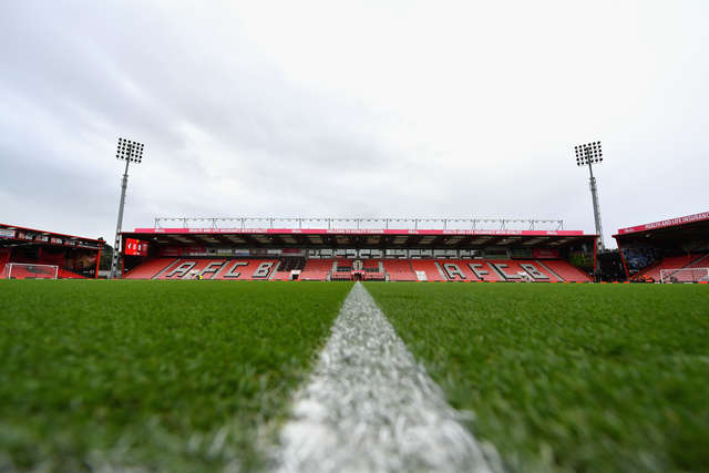 Vitality Stadium grass general.jpg
