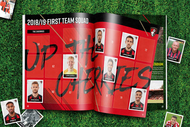 Sticker-Album-Web-Story.jpg